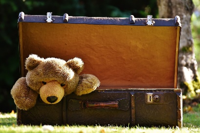 Osito de peluche marrón metido en una maleta