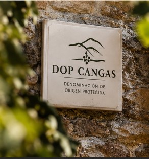 Placa con la inscripción «DOP Cangas, Denominación de Origen Protegida», colocada sobre un muro de piedra rodeado de vegetación.